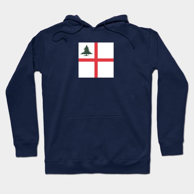 battle of bunker hill Flag Hoodie by stayfrostybro